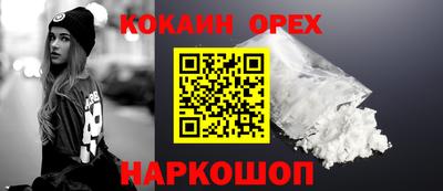 гидропоника Будённовск